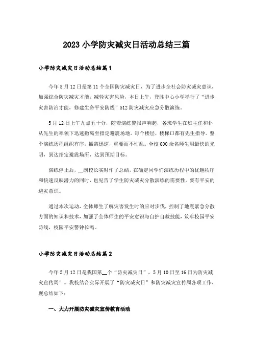 2023小学防灾减灾日活动总结三篇_4