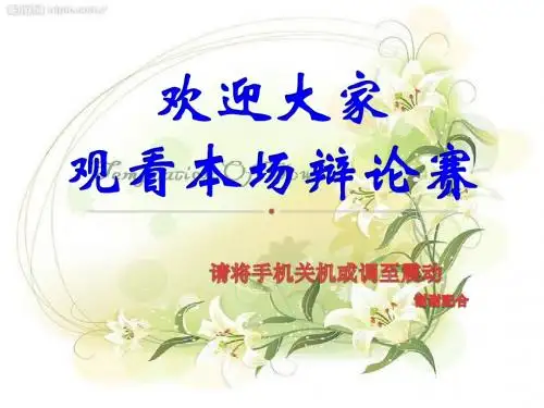 辩论赛PPT