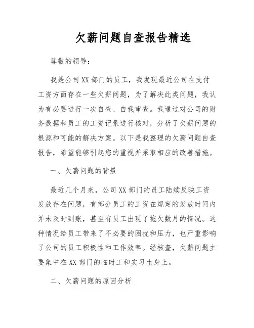 欠薪问题自查报告精选
