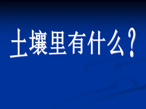 【小学课件】《土壤中有什么》地球表面及其变化   优质教学PPT2