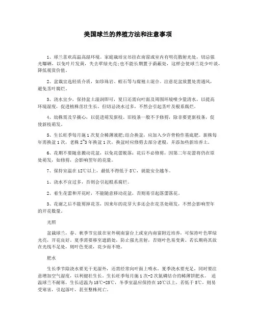 美国球兰的养殖方法和注意事项
