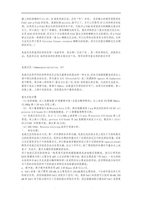 免疫沉淀IP 免疫共沉淀coIP 染色体免疫沉淀ChIP