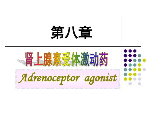 肾上腺素受体激动剂