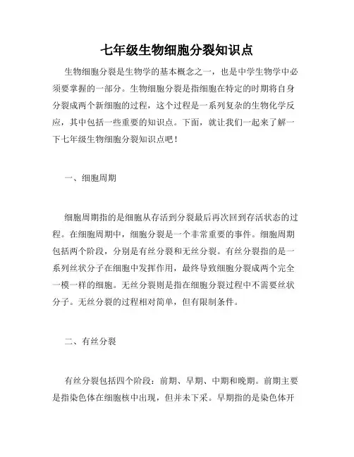 七年级生物细胞分裂知识点
