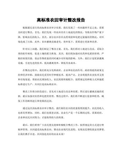 高标准农田审计整改报告