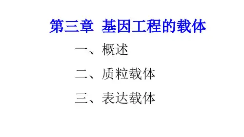 基因工程的载体