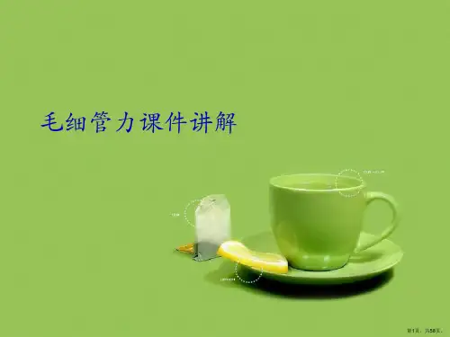 毛细管力讲解