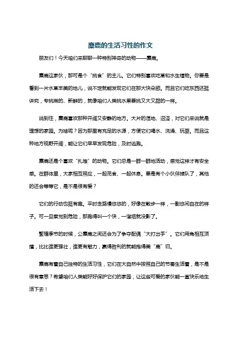麇鹿的生活习性的作文