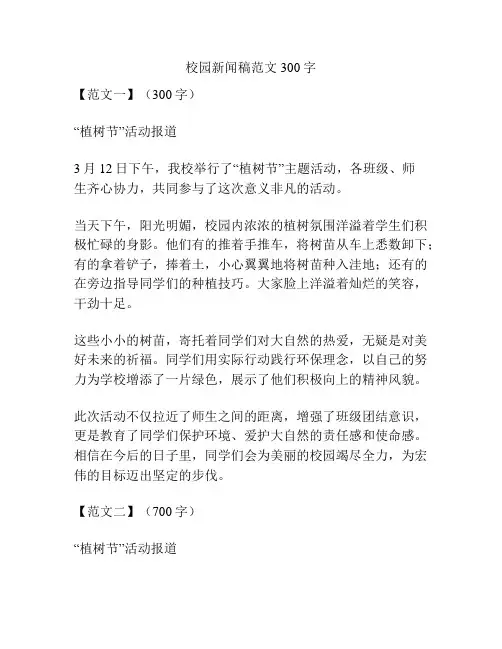 校园新闻稿范文300字
