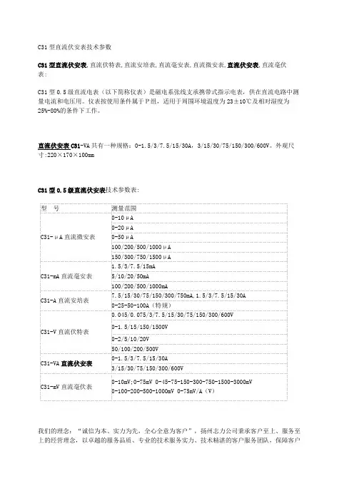 C31型直流伏安表技术参数