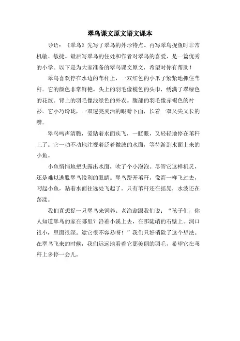 翠鸟课文原文语文课本