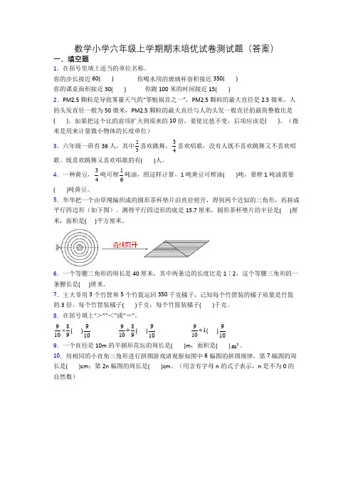数学小学六年级上学期期末培优试卷测试题(答案)