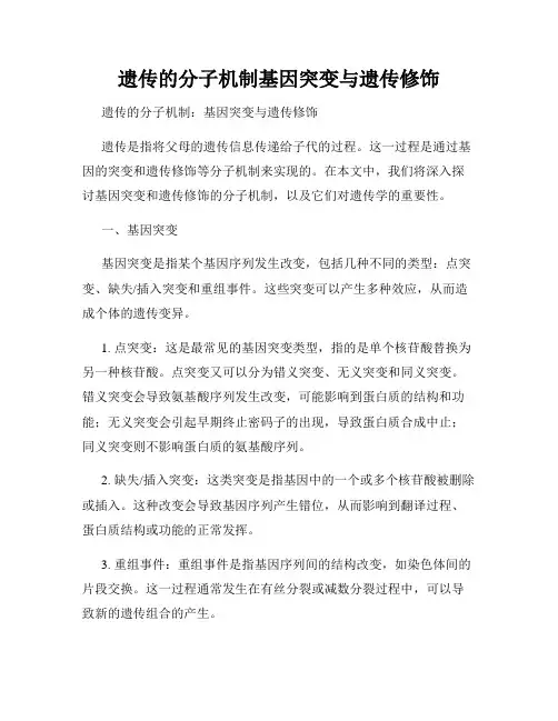 遗传的分子机制基因突变与遗传修饰