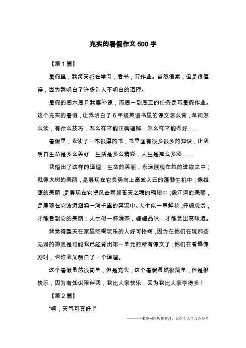 充实的暑假作文500字
