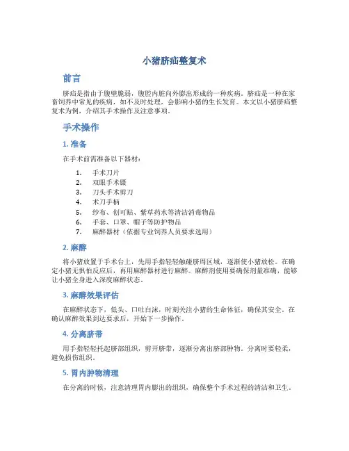 小猪脐疝整复术
