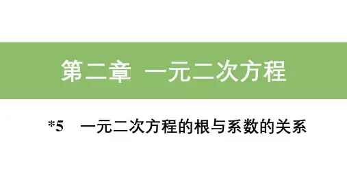 北师大版九年级数学上册_基础知识精练课件：5_一元二次方程的根与系数的关系
