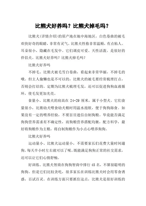 比熊犬好养吗？比熊犬掉毛吗？
