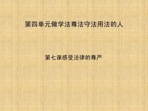 感受法律的尊严复习课