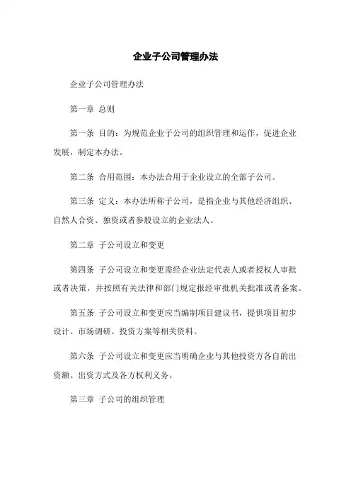 企业子公司管理办法