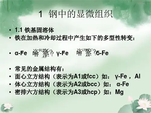 钢的组织