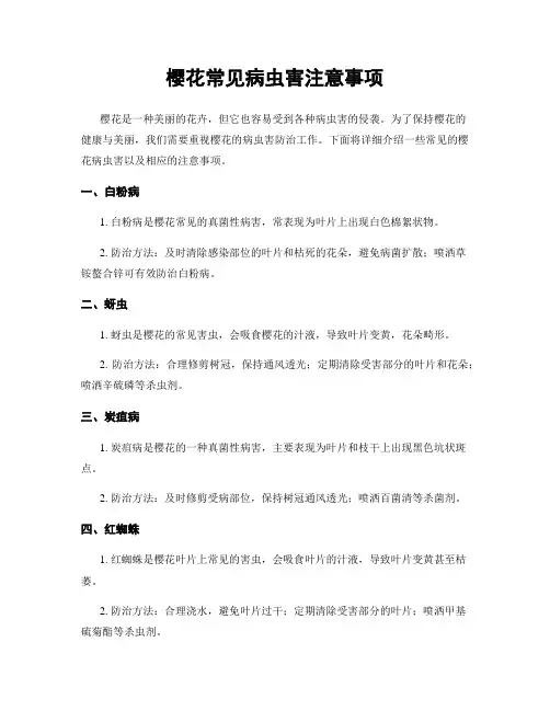 樱花常见病虫害注意事项
