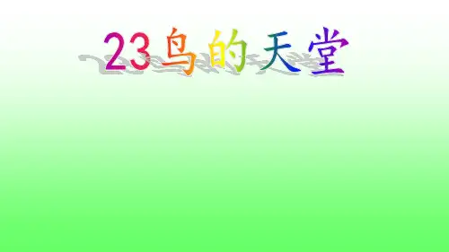 五年级上册语文课件-23 鸟的天堂 部编版 (ppt)