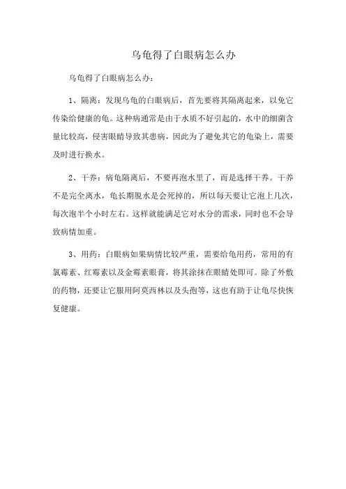 乌龟得了白眼病怎么办