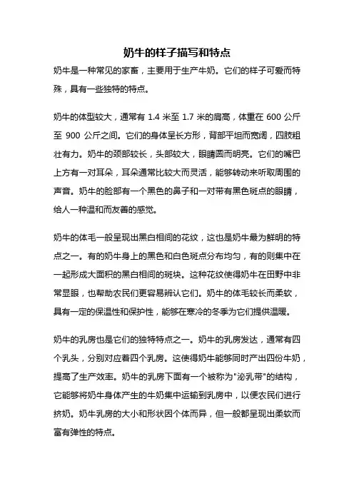 奶牛的样子描写和特点