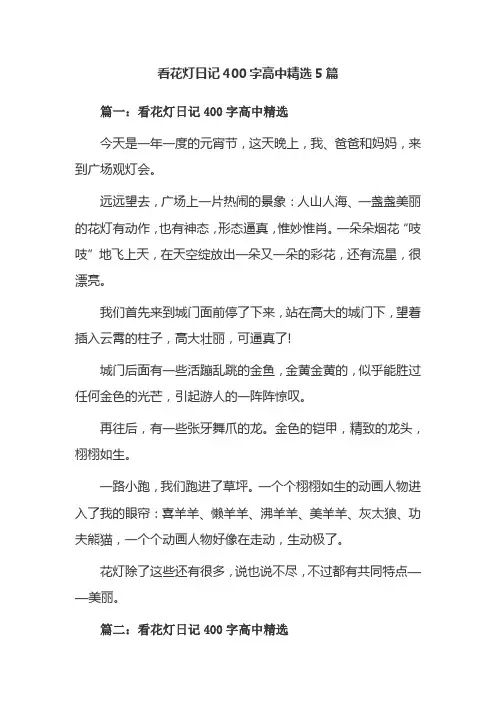 看花灯日记400字高中精选5篇