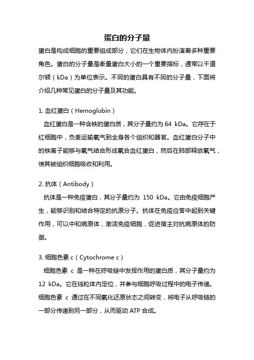 蛋白的分子量