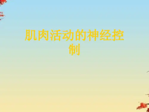 肌肉活动的神经控制
