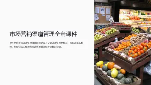 《市场营销渠道管理全套课件》