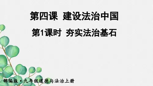 《夯实法治基石》  课件 2022年部编版道德与法治