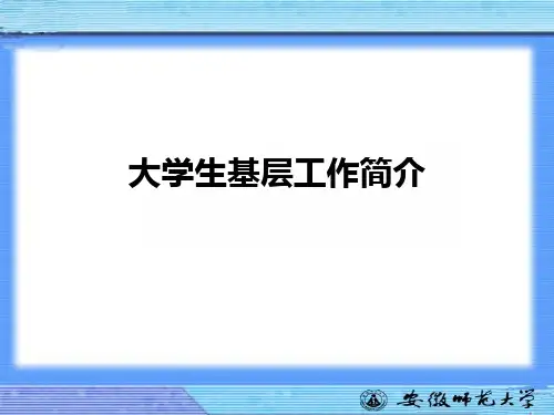 大学生基层工作简介ppt课件