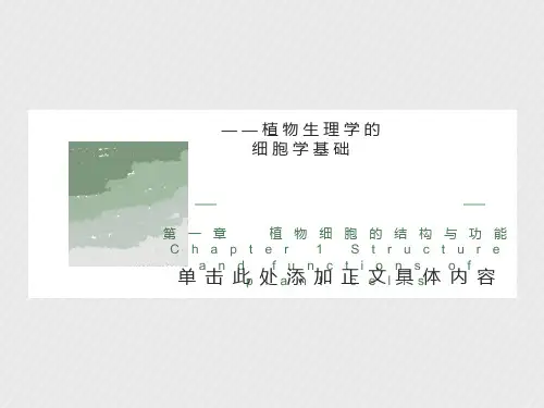 细胞膜的结构与功能