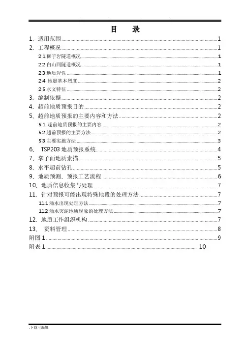 超前地质预报实施细则(经典版)