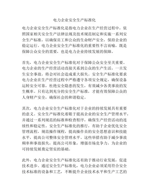 电力企业安全生产标准化