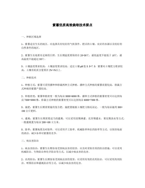 紫薯优质高效栽培技术要点