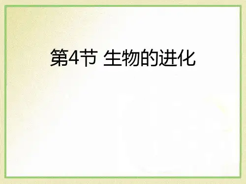 《生物的进化》PPT免费课件