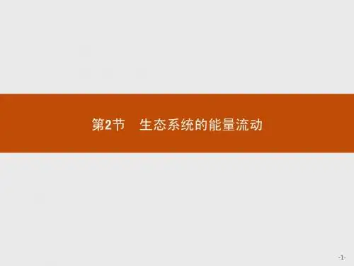 5.2生态系统的能量流动