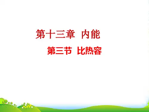 新人教版物理九年级课件13.3比热容(共21张PPT)