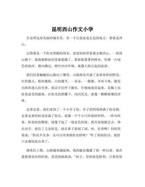 昆明西山作文小学
