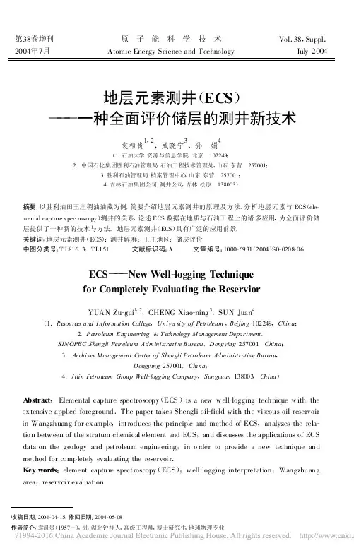 地层元素测井_ECS_一种全面评价储层的测井新技术_袁祖贵