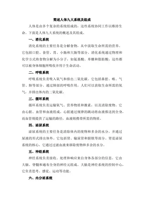 简述人体九大系统及组成
