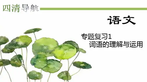 四清导航2017—语文人教八年级上册习题课件：专题复习1