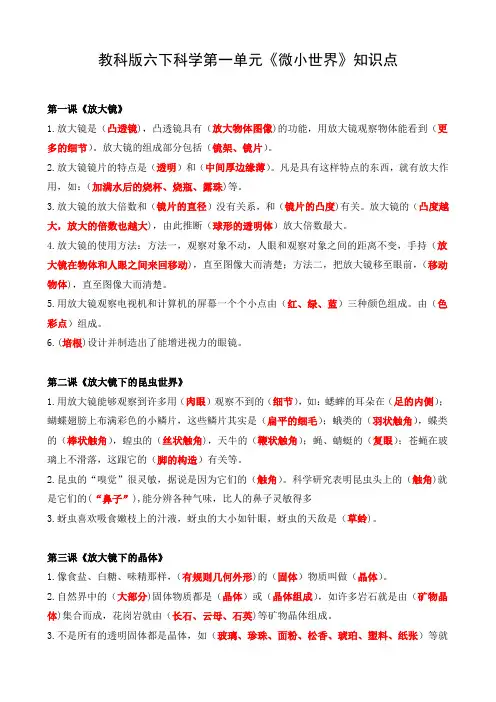 教科版六下科学第一单元《微小世界》知识点