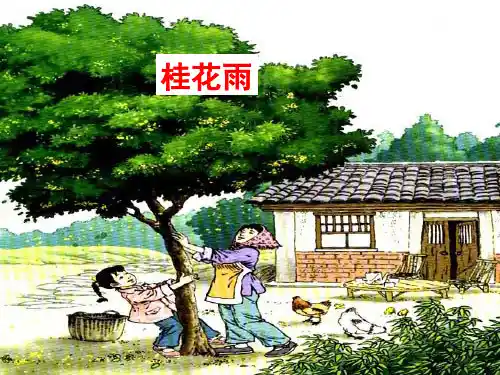 第3课 桂花雨   课件   (共27张PPT)