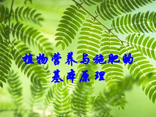  植物营养与施肥原则