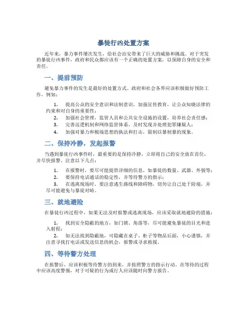 暴徒行凶处置方案