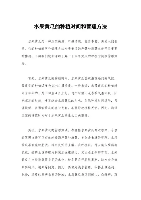 水果黄瓜的种植时间和管理方法